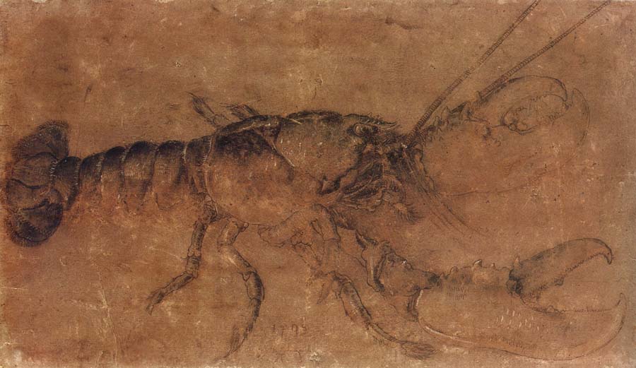 Albrecht Durer A Lobster